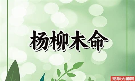 楊柳木命|详细解析杨柳木命